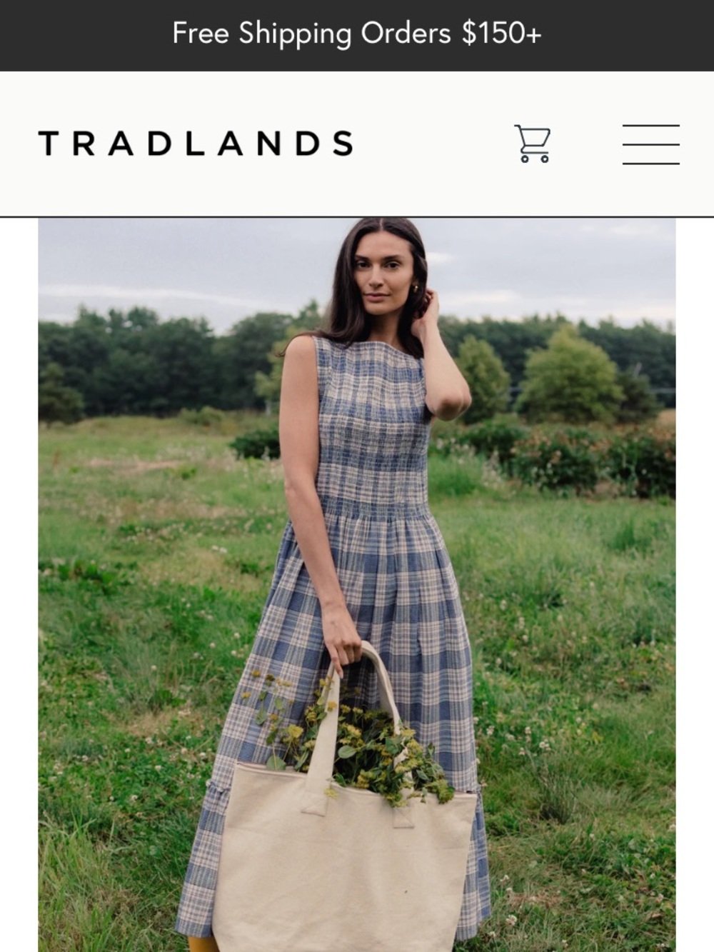 Tradlands Goldie Smocked Sleeveless Dress in Cream Atlantic Plaid (Size M)